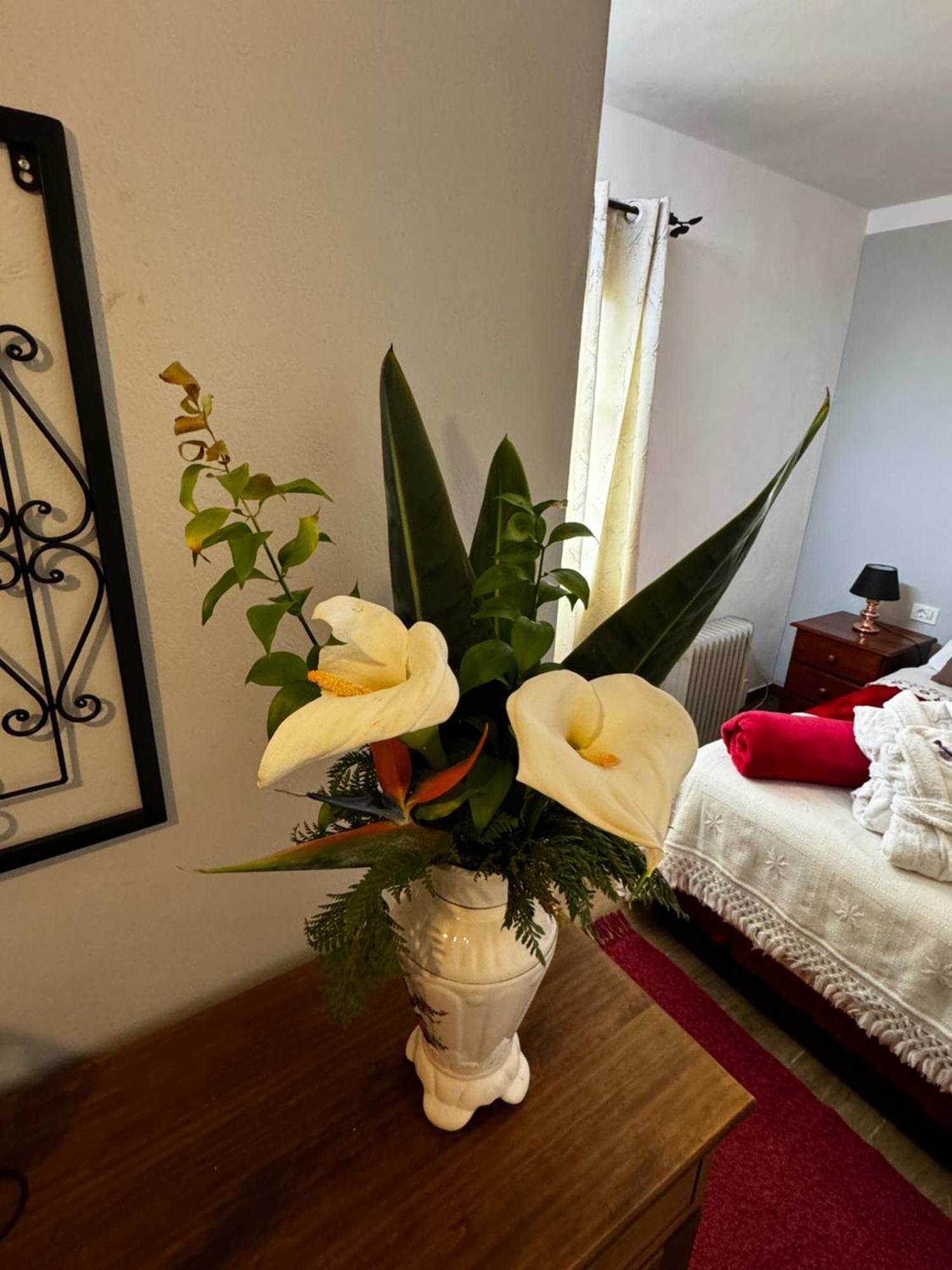 הוילה לוס סילוס Casa De Colon מראה חיצוני תמונה